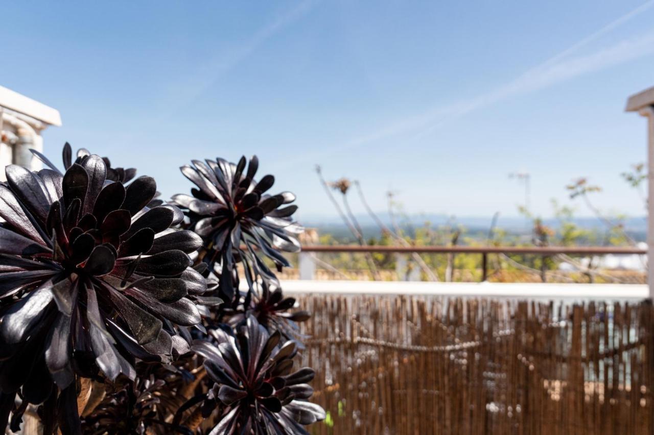 El Balcon De Vejer Daire Vejer de la Frontera Dış mekan fotoğraf